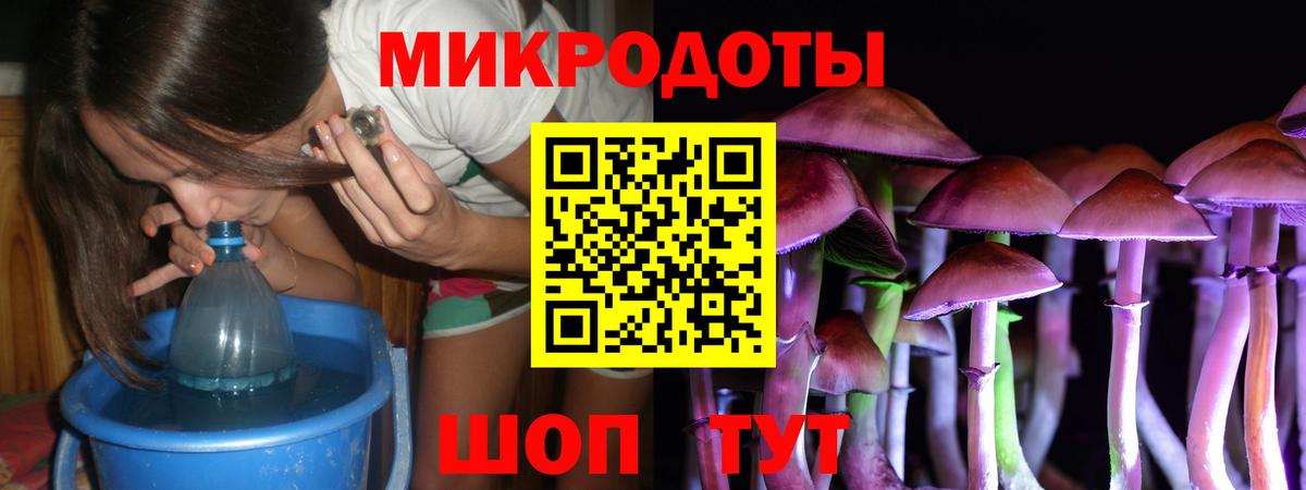 Тихвин  Галлюциногенные грибы MAGIC MUSHROOMS  где найти   Псилоцибиновые грибы прущие грибы  Вход с VPN 