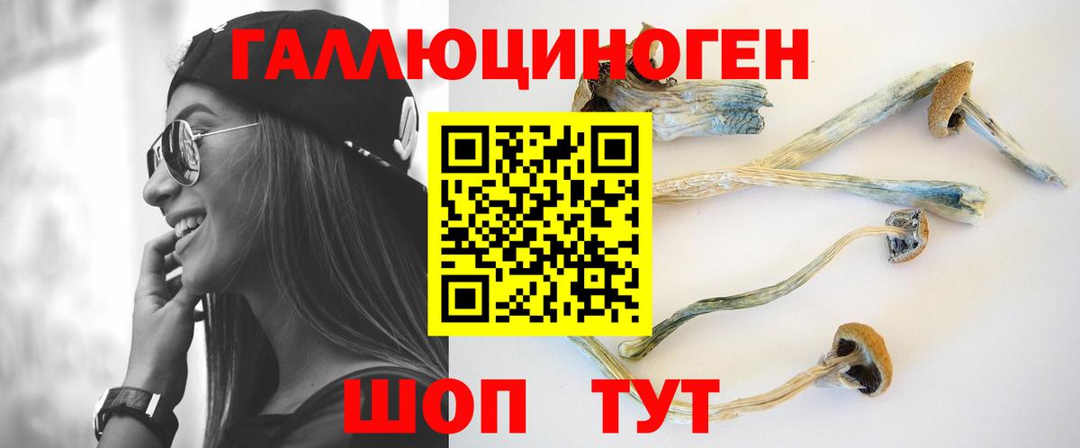 Псилоцибиновые грибы мухоморы Тихвин